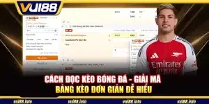 Cách đọc kèo bóng đá - Giải mã bảng kèo đơn giản dễ hiểu